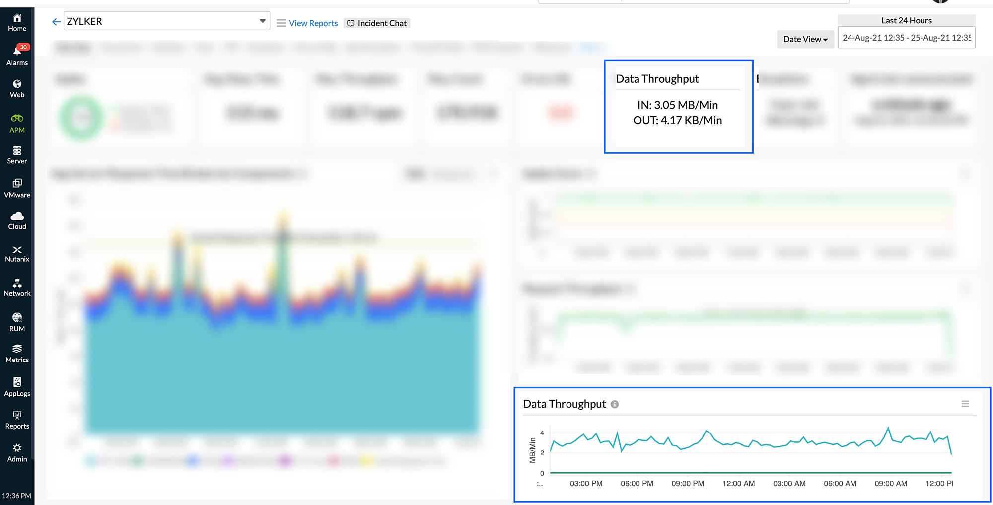 apm-data-throughuput