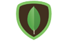 MongoDB